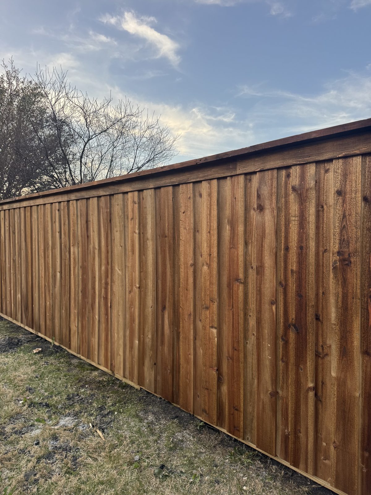Dark-stained cedar board-on-board privacy fence with cap and trim in Rockwall County, TX